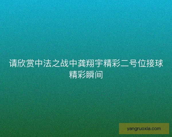 请欣赏中法之战中龚翔宇精彩二号位接球精彩瞬间