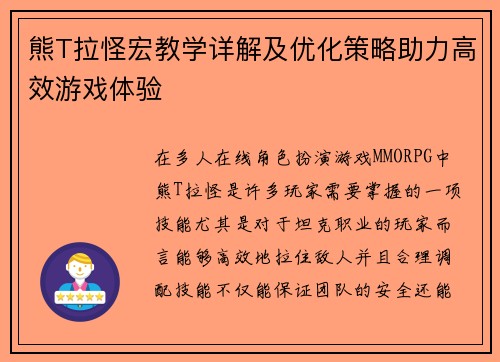 熊T拉怪宏教学详解及优化策略助力高效游戏体验